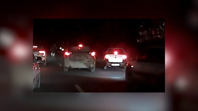 Взгляд из сети 19 11 24
