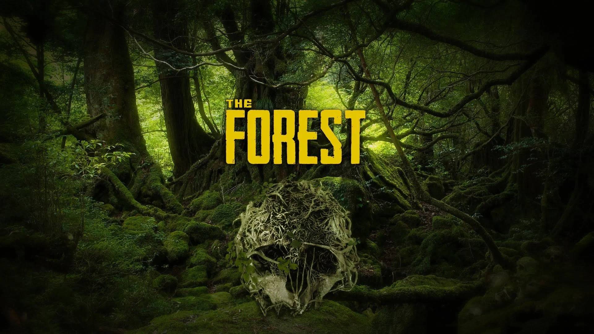 Выживаем в FOREST