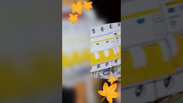 1000007733.mp4 (Собака смотрит на вариант электроснабжение дома А-фрейм)