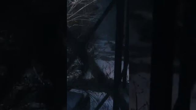 Проводник