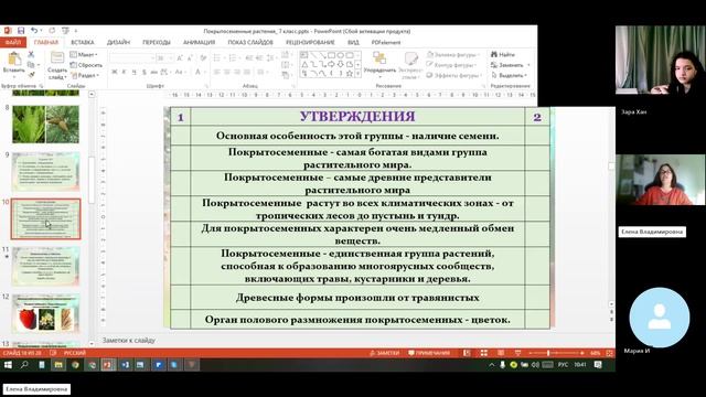 7 клаксс_19.11_3_Покрытосеменные