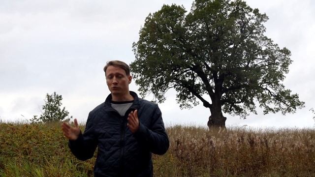Дом из бруса или Каркасный дом лучше? Сравниваем и Выбираем