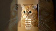 Именины 19 ноября