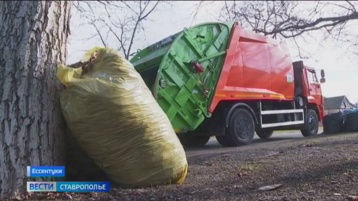 Сжигать и скапливать опавшие листья Роспотребнадзор запрещает: что делать
