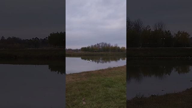 1000177500.mp4