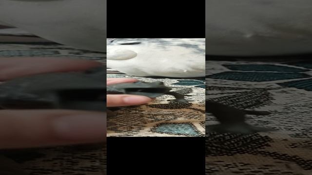 обзор на лягушек (2 часть.)