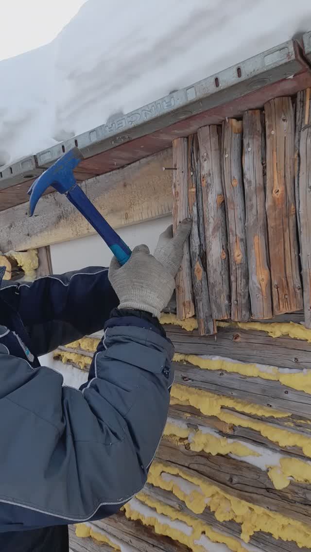 Ремонт избы после росомахи🤬 04.03.2023