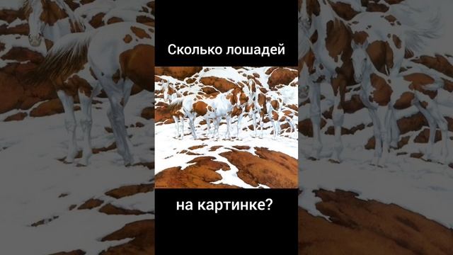 Тест на внимательность