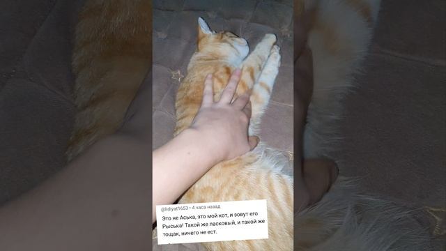 Сказали, что Аська у нас тощая😄