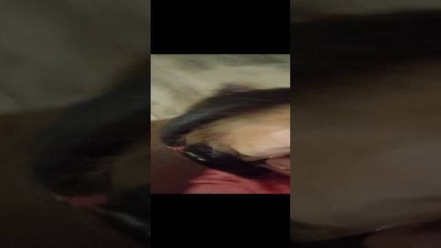ФЕНКТЕРИЯ ИНФА О ВИДЕО