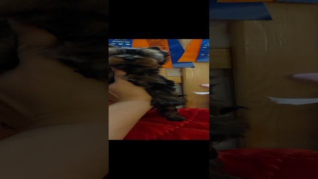 1000094668.mp4
