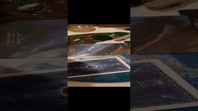 Совет на сегодняшний день