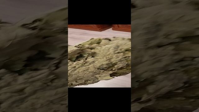 1000027103.mp4