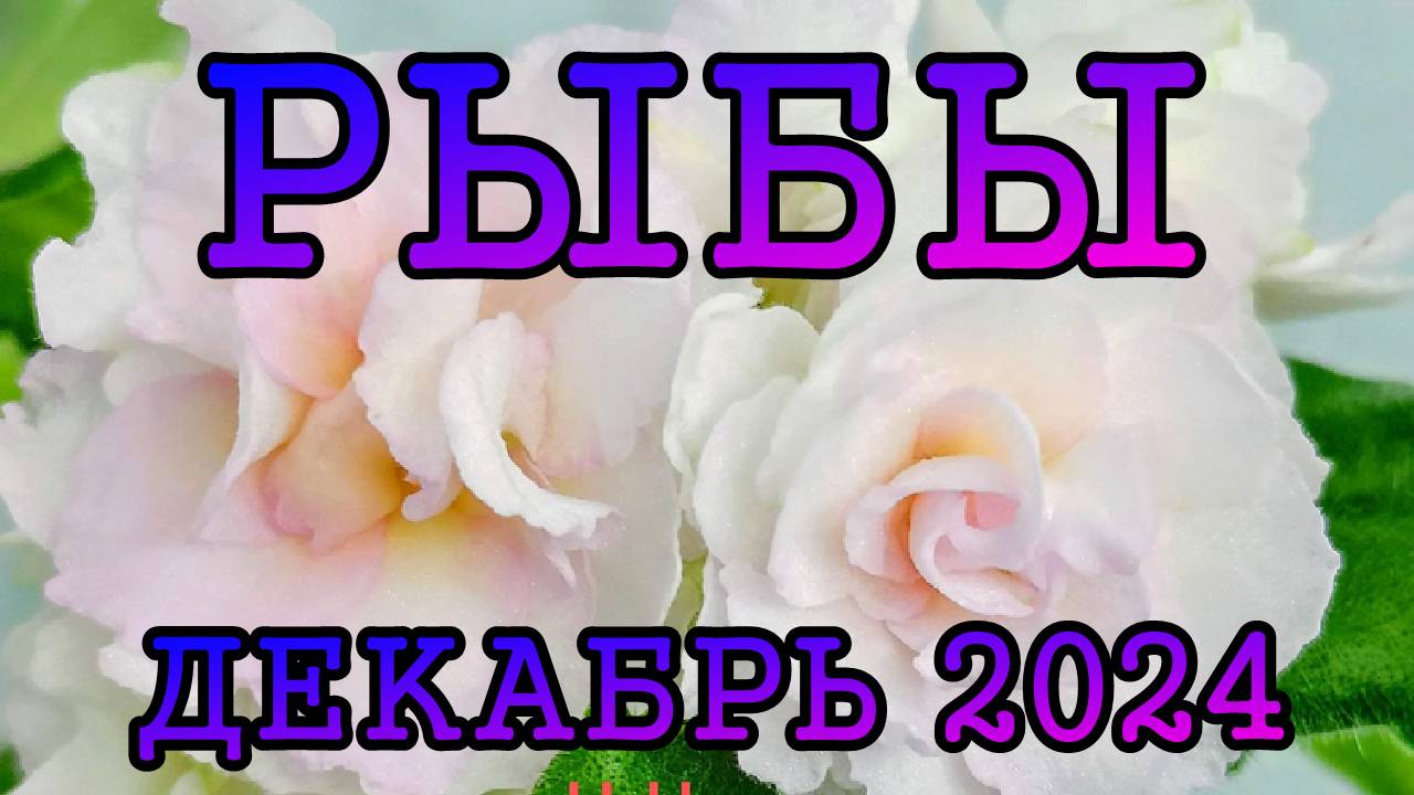 РЫБЫ таро прогноз на ДЕКАБРЬ 2024 года.