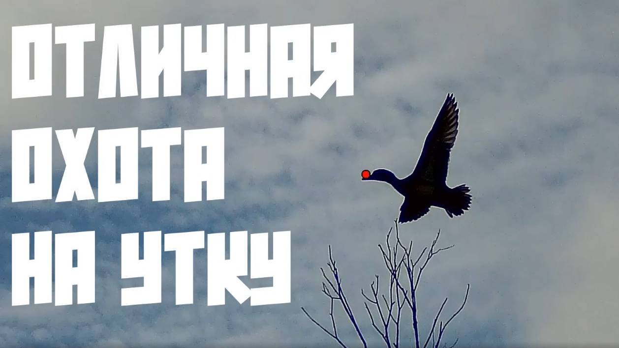 Отличная охота на утку. +18