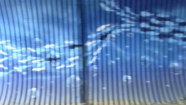 Роза Хутор ноябрь 2022г Отель Анатоль в Адлере