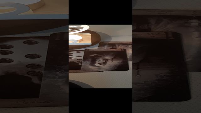 20241119_094414.mp4  Кто он завтрашний обольститель