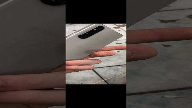 19-11-2024