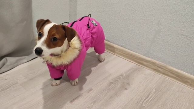 Обзор костюмчика для Мэджи