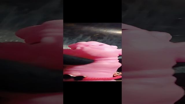 #shorts.  Сквиш новости.