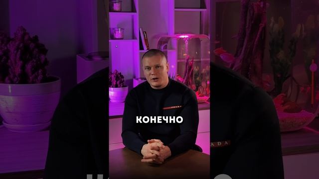 Лучше любить или позволять любить?