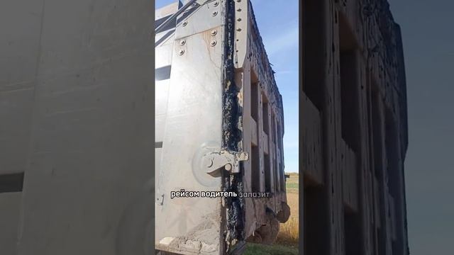 Прибыльный бизнес 💩 (звук 🔞