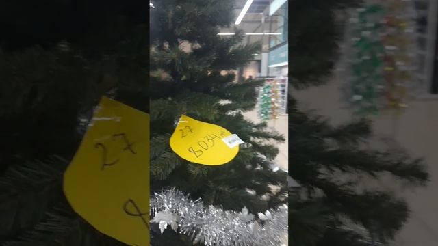 Цены на ёлки в Макеевке ДНР. Донбасс сегодня.