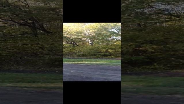 VID_20241011_152349.mp4