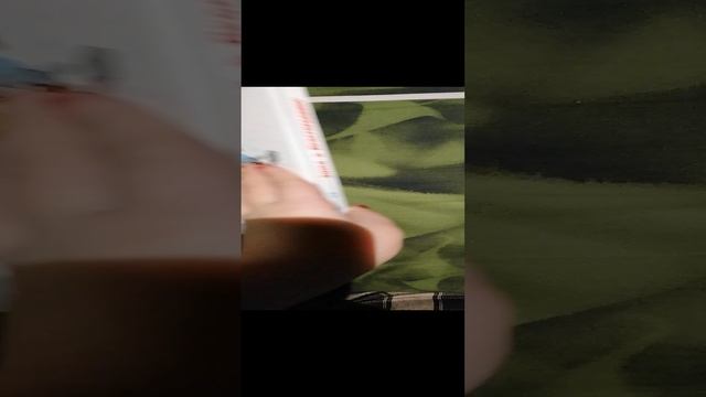 VID_20241119_211929.mp4