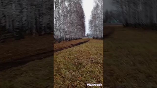 Счастье - оно внутри