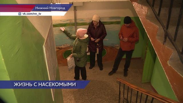 Тараканы заполонили жилой дом на площади Комсомольской Ленинского района