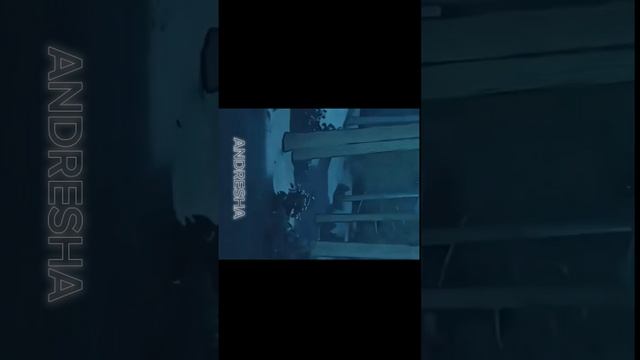 иноске хашибира эдит