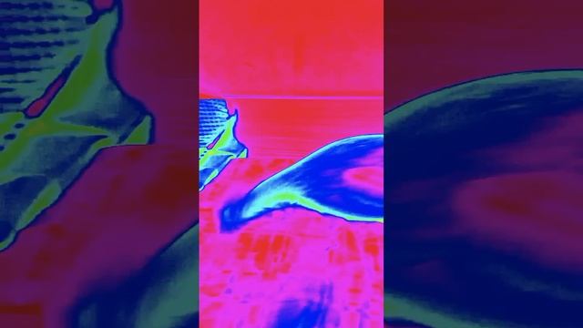 курлыныч кувыркается с монтажом цветной негатив.