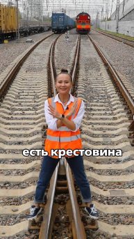 Шерсть на путях? #shorts #факты #жд