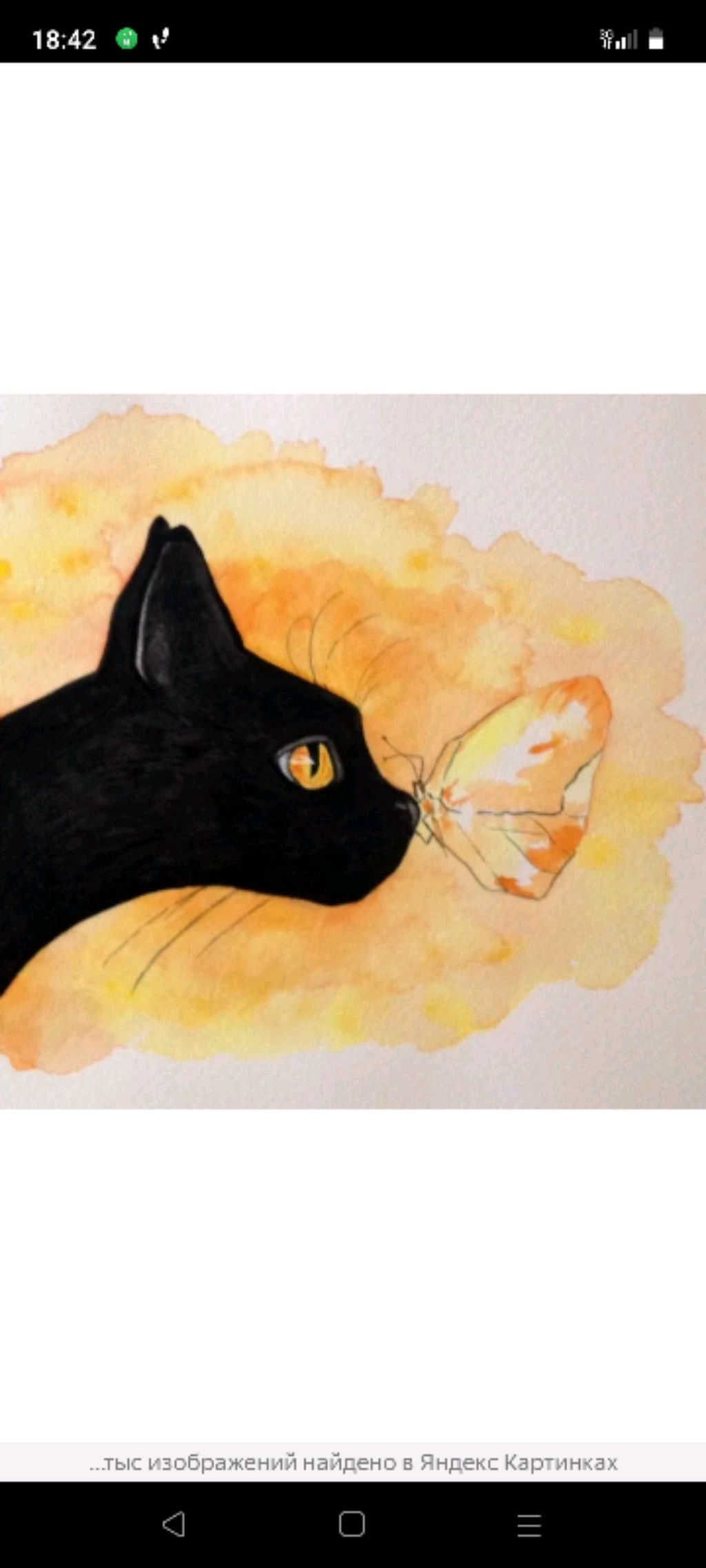кот с бабочкой🐱