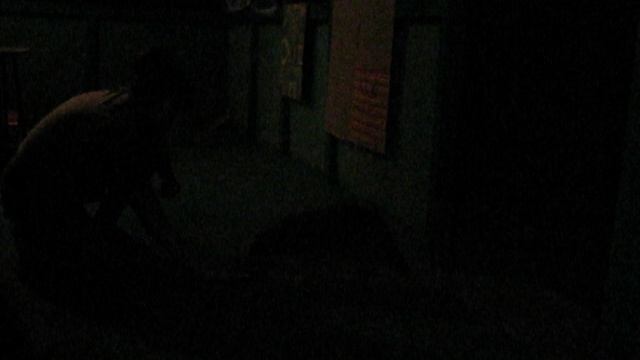 Пробное видео
