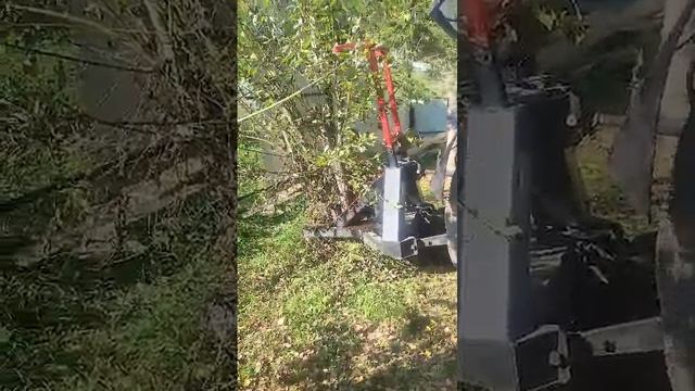 1000023203.mp4