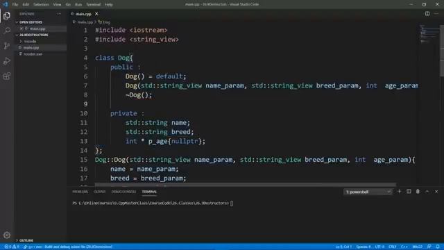C++ курс 31 час (от начинающего до продвинутого) на английском языке - часть 6 из 8