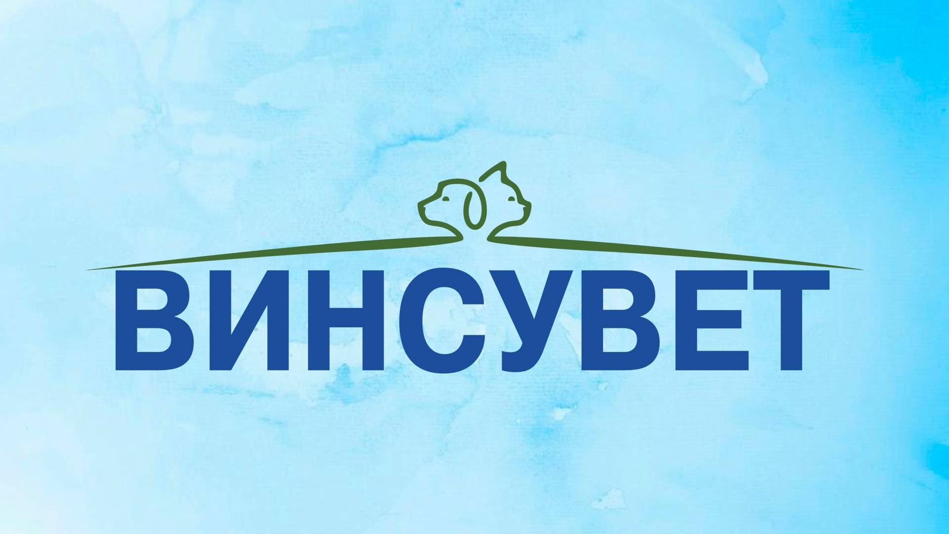 Введение инсулина кошкам и собакам