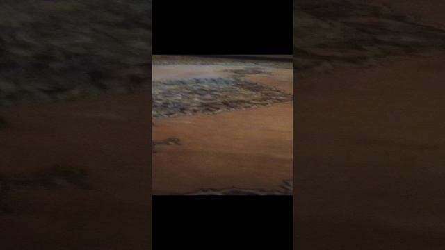 VID_20241119_194755.mp4