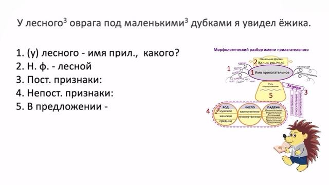 (Помогатор) Имя прилагательное, морфологический разбор имени прилагательного