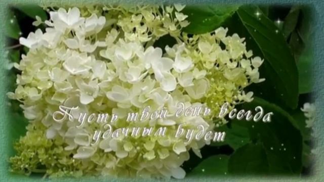 Комплемент женщине!