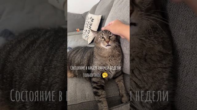 Доброе утречко 🙂