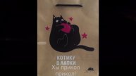 Котику в лапки Хы прикол прикол! (3:14)