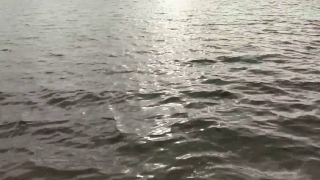 МОРЕ АКАДЕМГОРОДКА