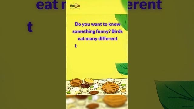 What Do Birds Eat ⭐ Learn English through very short story ⭐#shorts story