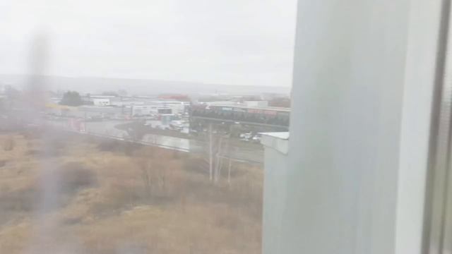 video5323502007934279438
