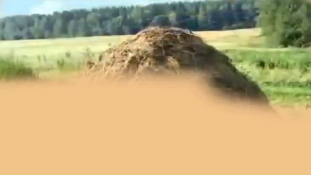 Выткался над озером