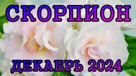 СКОРПИОН таро порногз на ДЕКАБРЬ 2024 года.