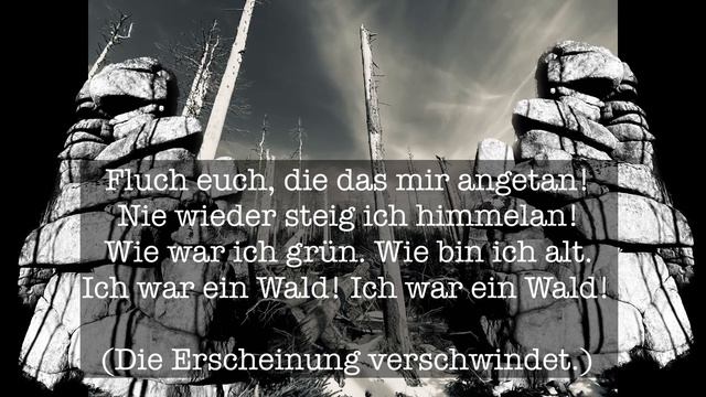 FLAMMENDE ANKLAGE aus „Die letzten Tage der Menschheit“ von KARL KRAUS vorgelesen von Velvichia Wolf